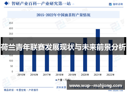 荷兰青年联赛发展现状与未来前景分析