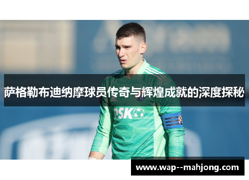 萨格勒布迪纳摩球员传奇与辉煌成就的深度探秘
