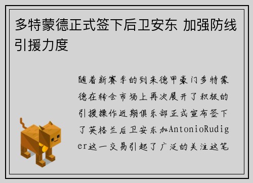 多特蒙德正式签下后卫安东 加强防线引援力度