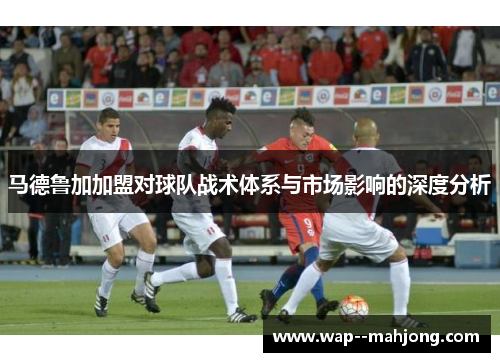 马德鲁加加盟对球队战术体系与市场影响的深度分析